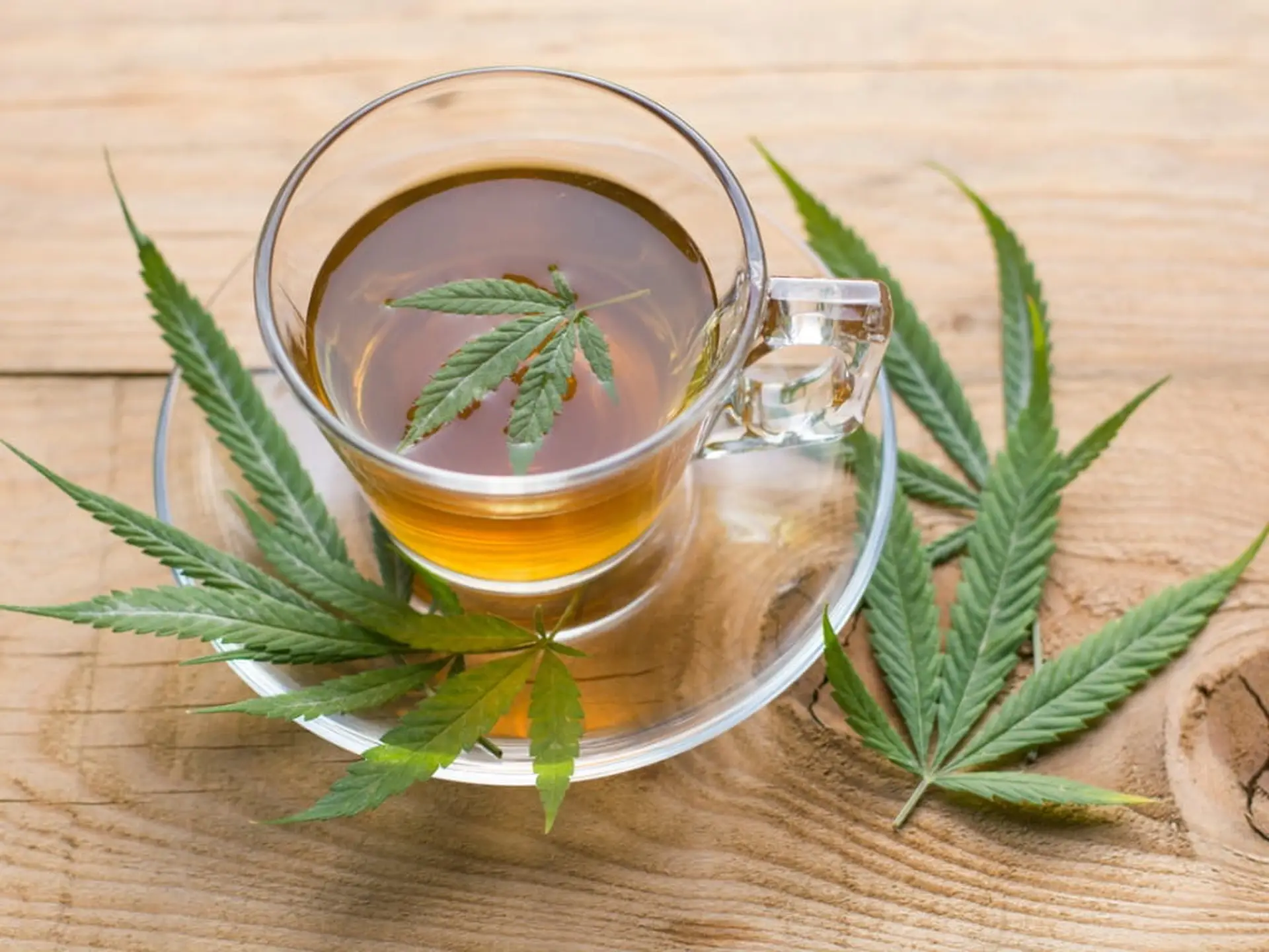 cannabis tea