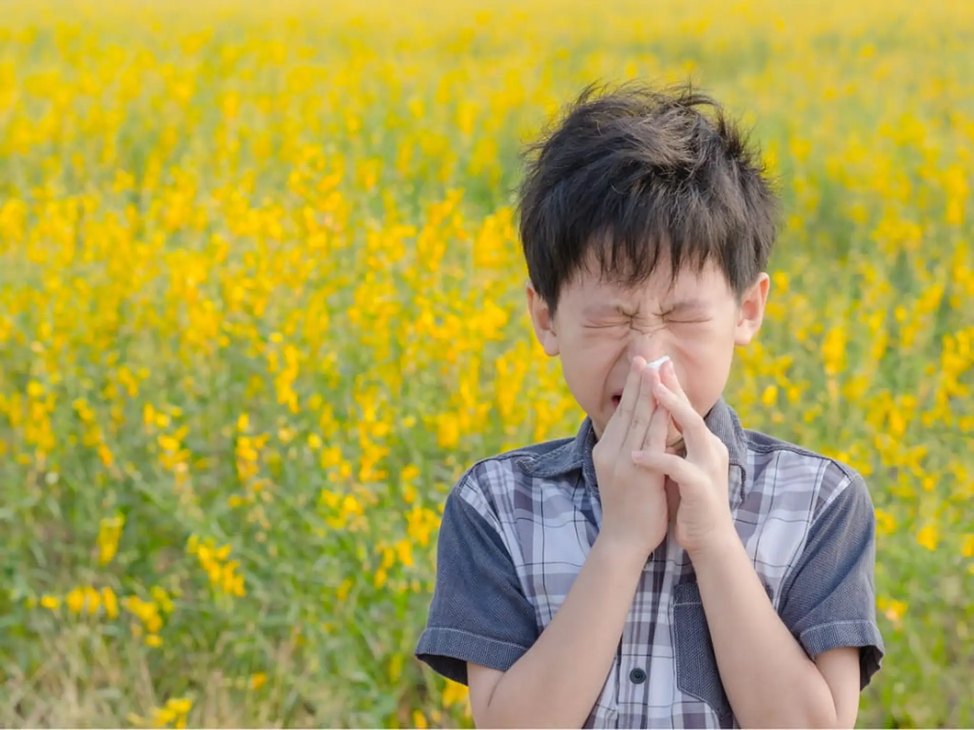 little boy sneezing