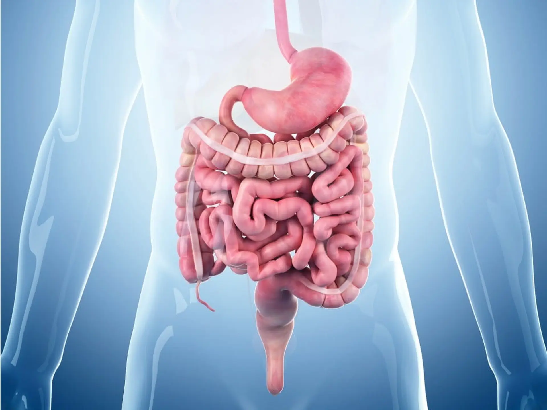 eluxadoline bowel illustration