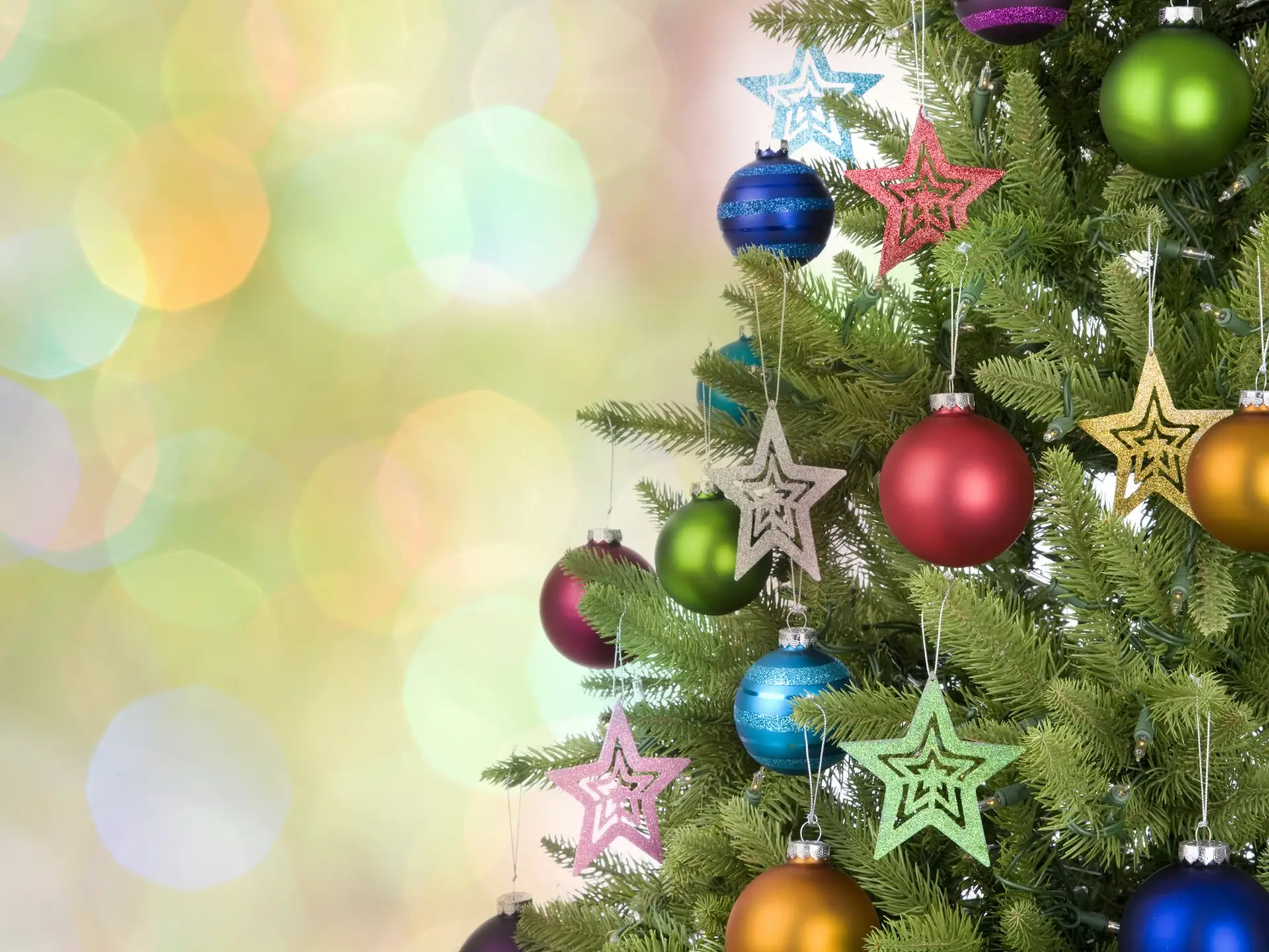 Christmas tree preservatives