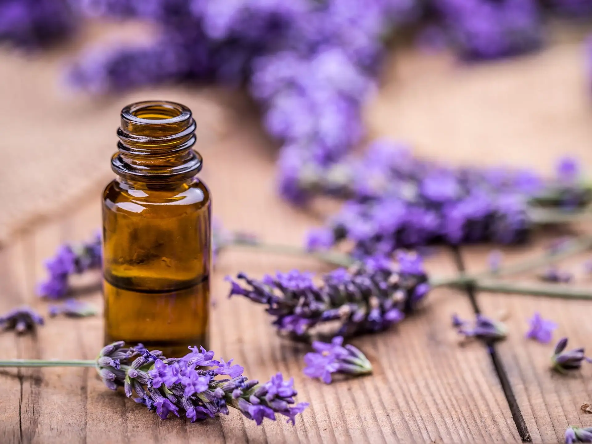 Lavender oil