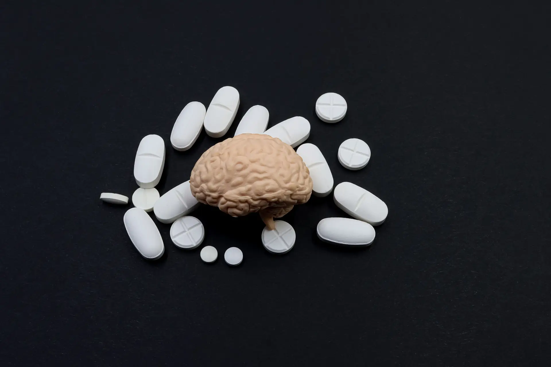 brain model with pills