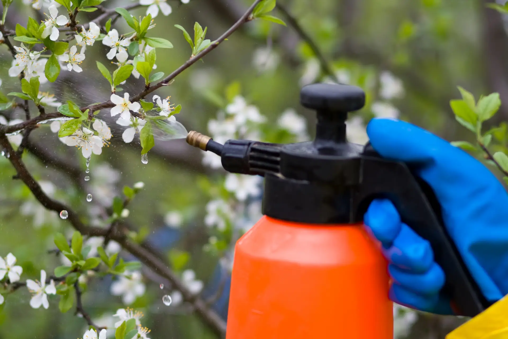 Pesticides being sprayed