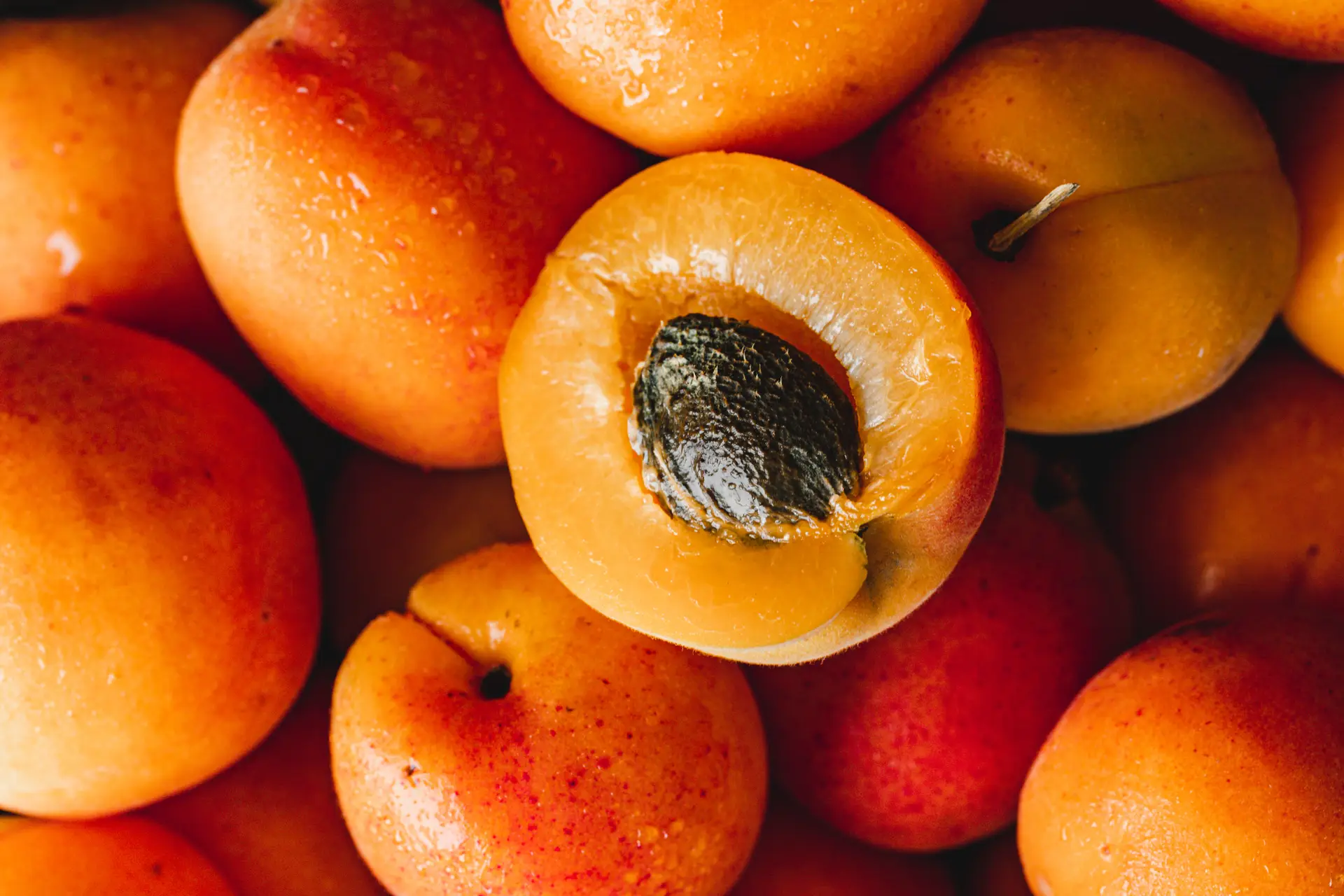apricot pit