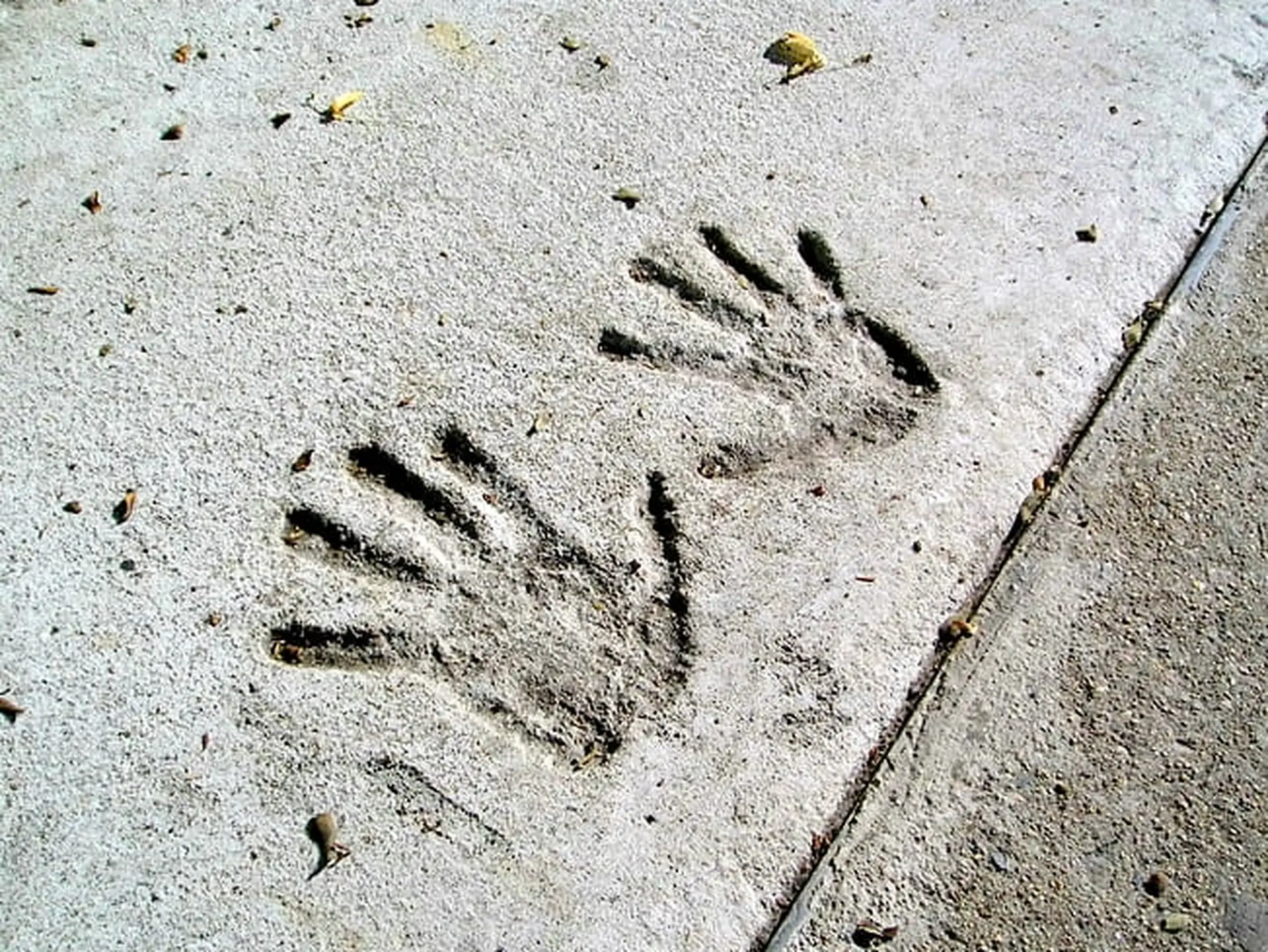 hand imprints in cement