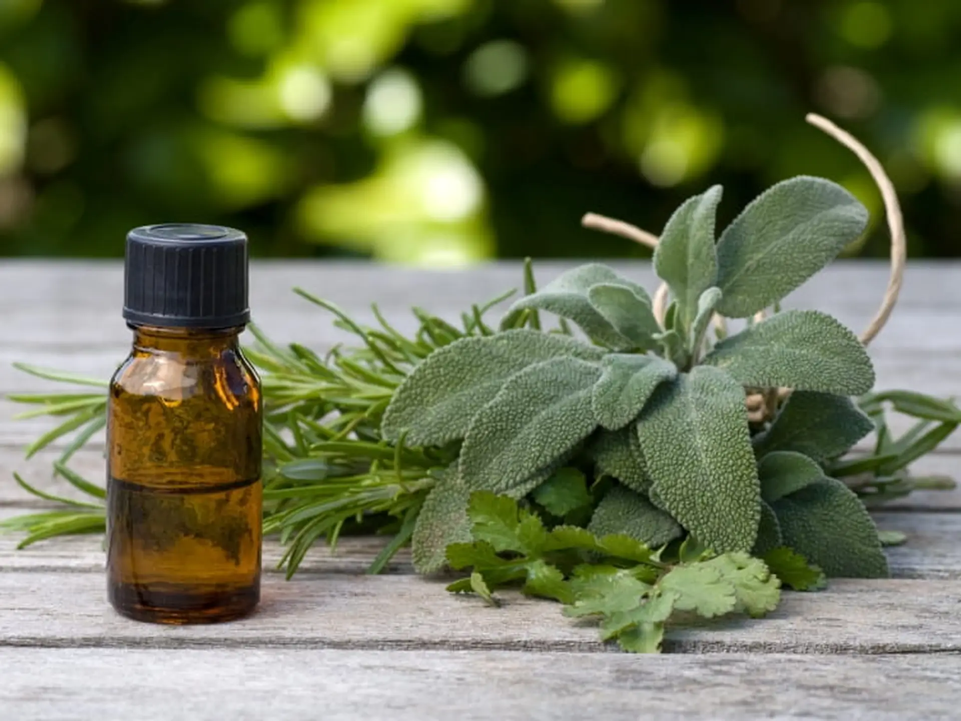 essential oil and leaves